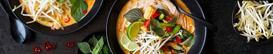 Thai-Kokossuppe mit Gemüse